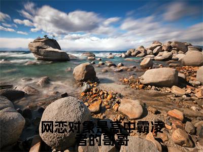 网恋对象是高中霸凌者的哥哥(谢逾白梁婉婉)新上热文小说讲的是什么-小说网恋对象是高中霸凌者的哥哥(谢逾白梁婉婉)全文免费阅读