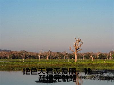 绝色夫君恋爱脑,她却撩完就跑全文小说(林阿彩萧玦)在线阅读无弹窗大结局_林阿彩萧玦全文在线阅读无弹窗