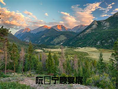 阮玥宁顾宴宸(顾宴宸阮玥宁)小说全文免费阅读无弹窗大结局_(顾宴宸阮玥宁免费阅读)阮玥宁顾宴宸最新章节列表笔趣阁
