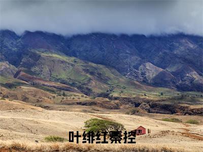 叶绯红秦控小说(叶绯红秦控)全文免费阅读无弹窗大结局_叶绯红秦控最新章节在线阅读_笔趣阁