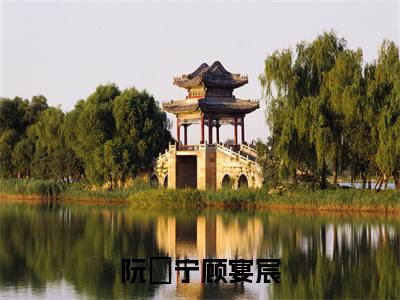阮玥宁顾宴宸顾宴宸阮玥宁小说(顾宴宸阮玥宁)全文免费阅读无弹窗大结局_顾宴宸阮玥宁小说最新章节列表_笔趣阁