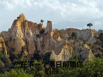 在下一个落日前吻你的脸小说全文(陆安霆温子语)精选免费小说_在下一个落日前吻你的脸小说全文最新章节列表