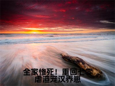 全家惨死!重回七零虐渣宠汉养崽全集章节小说免费阅读完整版(苏提魏百川)-苏提魏百川小说免费阅读