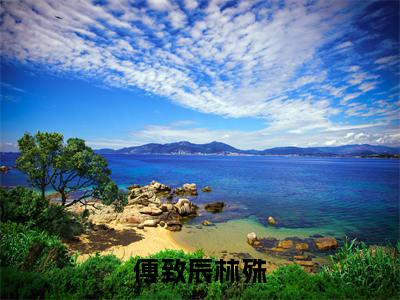 小说林殊傅致辰全文免费阅读无弹窗大结局-傅致辰林殊在线阅读