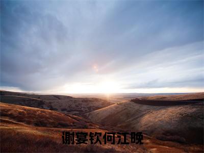 何江晚谢宴钦是哪部小说的主角,谢宴钦何江晚全文无弹窗完整版阅读