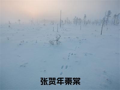 张贺年秦棠(秦棠张贺年)全文免费阅读张贺年秦棠最新章节小说免费阅读_笔趣阁