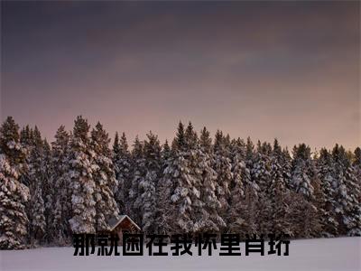 那就困在我怀里肖珩(邵清宁肖珩)全文免费阅读_那就困在我怀里肖珩免费阅读最新章节列表笔趣阁(邵清宁肖珩)