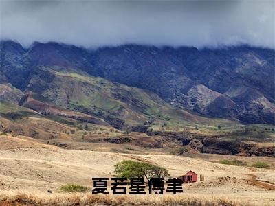夏若星傅聿(夏若星傅聿)全文免费阅读无弹窗大结局_夏若星傅聿完整章节阅读