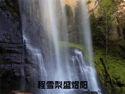 程雪梨盛煜阳在线阅读（程雪梨盛煜阳小说）全文免费阅读无弹窗大结局_程雪梨盛煜阳免费最新章节列表