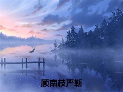 顾南枝严靳全文免费阅读大结局_顾南枝严靳全文免费阅读无弹窗_笔趣阁(顾南枝严靳)