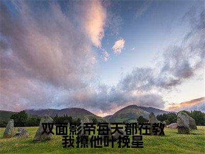 双面影帝每天都在教我撩他叶挽星小说（叶挽星）精彩章节-叶挽星全文免费在线阅读