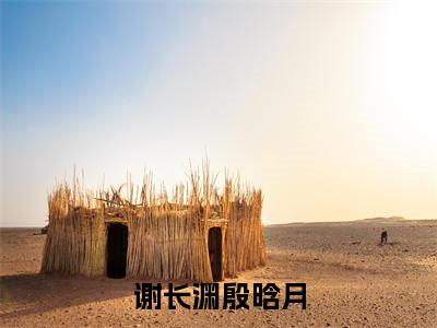 谢长渊殷晗月(殷晗月谢长渊)全文免费阅读最新章节大结局_谢长渊殷晗月最新章节列表_笔趣阁