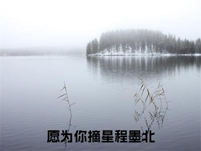 愿为你摘星程墨北(孟柒程墨北)小说全文免费阅读无弹窗大结局_孟柒程墨北全文免费阅读