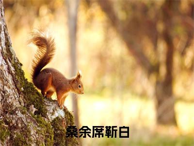 主角为席靳白桑余的小说-桑余席靳白(席靳白桑余)全文完整版阅读