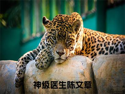 神级医生陈文章高赞小说(陈文章)完结阅读_神级医生陈文章全文完整版免费阅读最新章节列表陈文章(番外+免费)