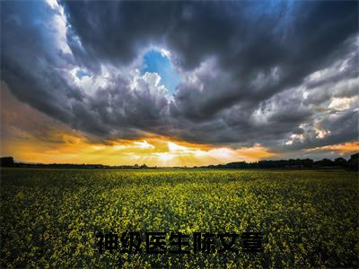 陈文章免费阅读无弹窗大结局,神级医生陈文章最新章节