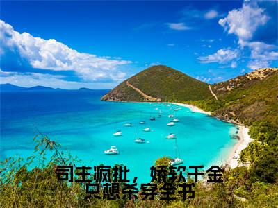 司主疯批,娇软千金只想杀穿全书(南初筝)全集免费阅读无弹窗_司主疯批,娇软千金只想杀穿全书正版小说免费阅读