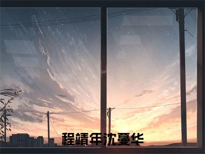 【新书】《沈蔓华程靖年》程靖年沈蔓华全文全章节免费阅读