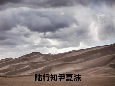 陆行知尹夏沫(尹夏沫陆行知)小说小说全集尹夏沫陆行知无删减在线阅读