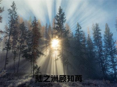 陆之洲顾知苒陆之洲顾知苒抖音热推新书小说全文阅读（陆之洲顾知苒）全文免费阅读大结局