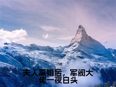 夫人离婚后,军阀大佬一夜白头小说(盛长裕宁祯)全文在线阅读免费大结局_夫人离婚后,军阀大佬一夜白头小说最新章节列表