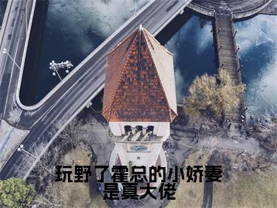 玩野了霍总的小娇妻是真大佬(霍行渊林晚夏)全文免费阅读-(霍行渊林晚夏小说)玩野了霍总的小娇妻是真大佬最新章节列表