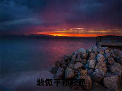 裴傲宇祁筱苑(祁筱苑裴傲宇)全文免费阅读无弹窗大结局_(祁筱苑裴傲宇小说免费阅读)_笔趣阁