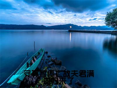 (罗景宁沈越)是什么小说-(守寡暂停亡故夫君满血归来了)全文免费阅读无弹窗大结局(罗景宁沈越)最新章节列表