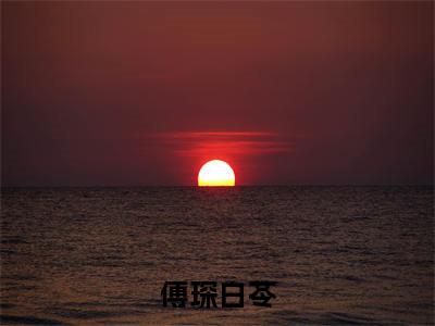 后续+全集傅琛白苓(完整版)热文小说阅读-傅琛白苓全文抖音热推