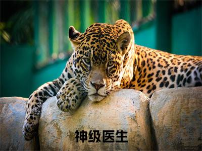 陈文章(神级医生)全文免费阅读无弹窗大结局_陈文章最新章节列表_笔趣阁
