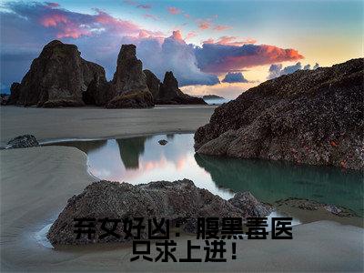颂音精选热门小说弃女好凶:腹黑毒医只求上进!已完结全集大结局