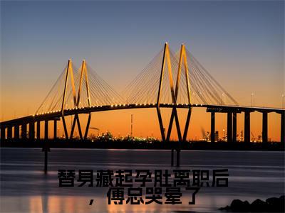 替身藏起孕肚离职后,傅总哭晕了(傅南祁徐宁欢)全文免费阅读无弹窗_(替身藏起孕肚离职后,傅总哭晕了小说免费阅读)最新章节列表笔趣阁
