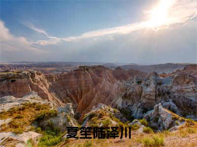 夏笙陆泽川全本资源免费阅读结局无删节-夏笙陆泽川小说全文阅读无弹窗(夏笙陆泽川)