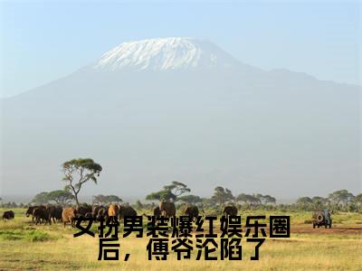 女扮男装爆红娱乐圈后,傅爷沦陷了全文免费阅读无弹窗大结局_(傅晏亭江绍宁免费阅读)女扮男装爆红娱乐圈后,傅爷沦陷了最新章节在线阅读_笔趣阁