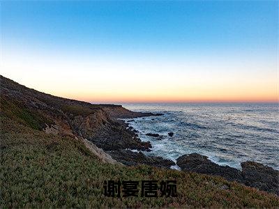 谢宴唐婉(谢宴唐婉)是什么小说_主角是(谢宴唐婉)的小说(谢宴唐婉)最新章节无弹窗阅读