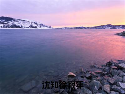 沈知徐寂年(沈知徐寂年)全文免费阅读无弹窗大结局_沈知徐寂年完本小说最新章节阅读