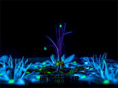 苏晚眠傅琛(傅琛苏晚眠)全文免费阅读-小说傅琛苏晚眠最新章节阅读笔趣阁