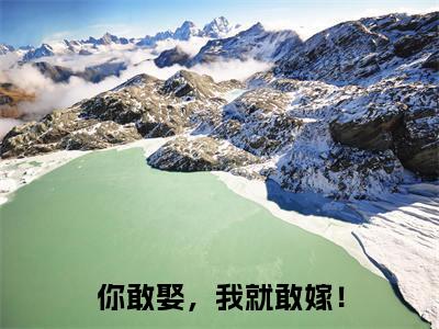 你敢娶,我就敢嫁!全文免费阅读无弹窗大结局_你敢娶,我就敢嫁!全文阅读_笔趣阁(苏沫叶少安)