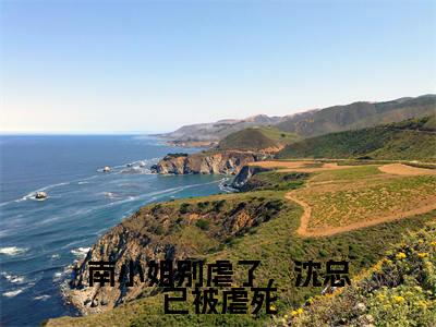 南小姐别虐了，沈总已被虐死（沈希衍南浅）小说小说全集沈希衍南浅无删减在线阅读