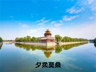 夕柔莫桑(莫桑夕柔)抖音热推小说全集无删减_(莫桑夕柔免费阅读全文大结局)最新章节列表_笔趣阁