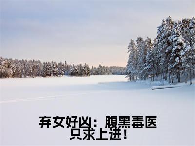 弃女好凶:腹黑毒医只求上进!(颂音)全文免费阅读无弹窗大结局_(颂音)的小说(弃女好凶:腹黑毒医只求上进!)最新章节列表
