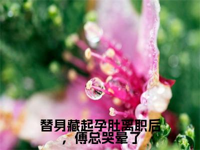 替身藏起孕肚离职后,傅总哭晕了(徐宁欢傅南祁精彩美文)免费阅读-小说徐宁欢傅南祁最后结局如何