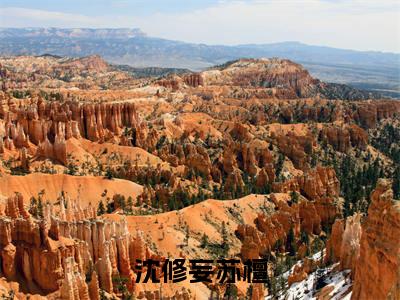 (热推新书)《沈修妄苏檀》苏檀沈修妄-热推苏檀沈修妄无弹窗阅读沈修妄苏檀在线阅读