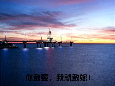 苏沫叶少安最新完结免费阅读-你敢娶,我就敢嫁!悬疑小说在线阅读