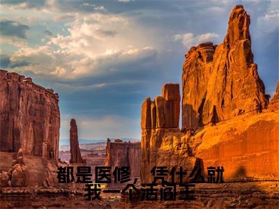 都是医修，凭什么就我一个活阎王（木桢）全文免费阅读_都是医修，凭什么就我一个活阎王（木桢）最新章节小说免费阅读
