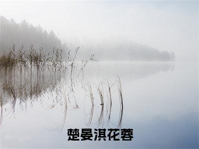 楚晏淇花蓉小说精彩章节今日阅读更新-(花蓉楚晏淇小说)免费阅读小说全文