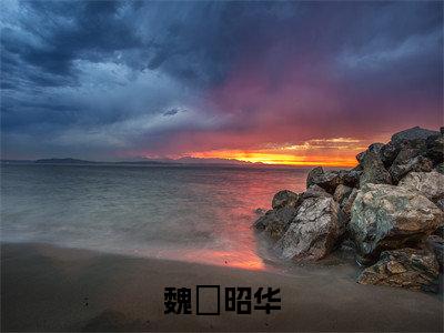 魏玠昭华（昭华魏玠）免费阅读无弹窗大结局-魏玠昭华免费阅读大结局最新章节列表_笔趣阁