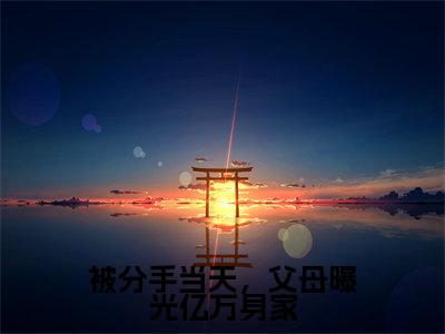 陈凡免费小说(被分手当天,父母曝光亿万身家)全文无弹窗阅读陈凡大结局免费阅读无弹窗