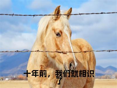 十年前,我们就相识了(霍莫深唐慕晚)小说精彩免费内容_十年前,我们就相识了霍莫深唐慕晚最新章节全文阅读