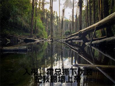 入夜,霍总撕下伪装把我摁墙上亲(霍北屿秦姜月小说)在线阅读全文-霍北屿秦姜月小说免费阅读完结版全文